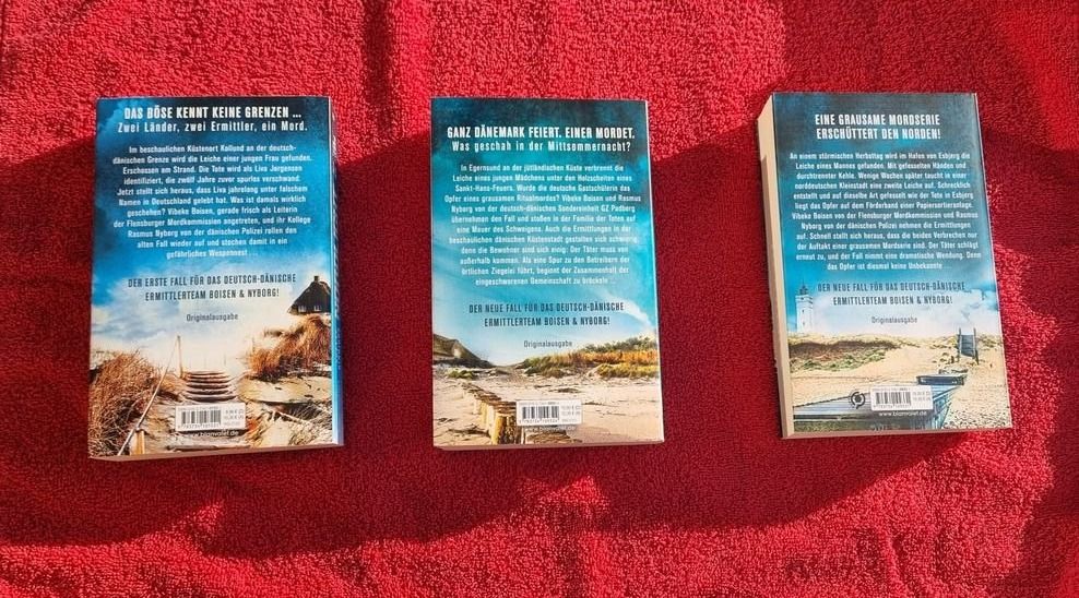 Libri: Kriminalroman Nord Licht – Usato da Sempach venduto da berglady30 1