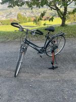 Neues Damenvelo Citybike GALLUS