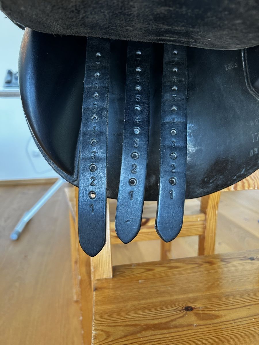 Sattel & Sattelzubehör: Spirig Ranger Wanderreitsattel 17.5 Zoll – Gebraucht aus Lüchingen von followthewhitehorse 6