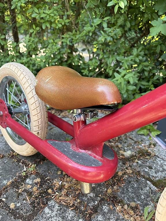 Veicoli per bambini: Laufrad Trybike – Usato da Wangen b. Olten venduto da abe_ct7n 4