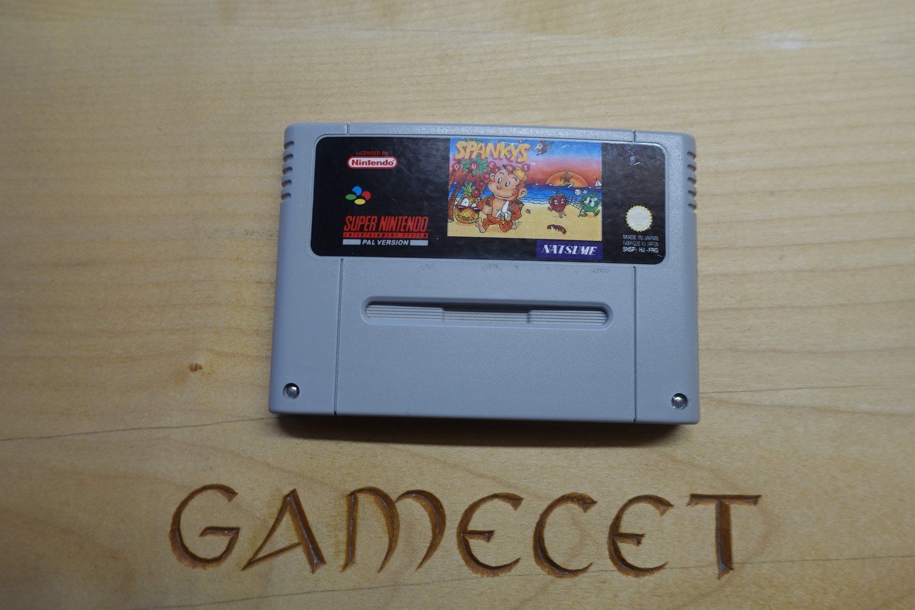 Nintendo Giochi: Spanky's Quest – Usato da Steinach venduto da Gamecet