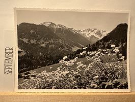 AK von Valteina im Prättigau mit Bergpanorama