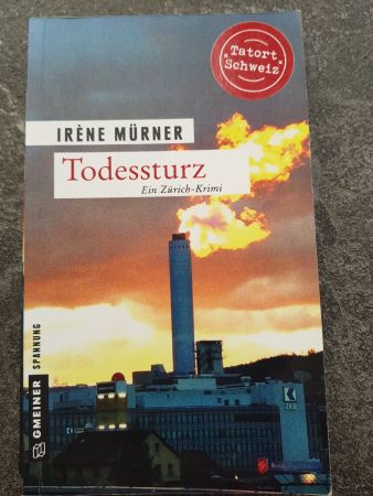 Todessturz / Irene Mürner Zürich-Krimi