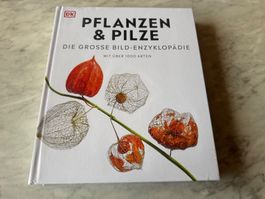 PFLANZEN UND PILZE