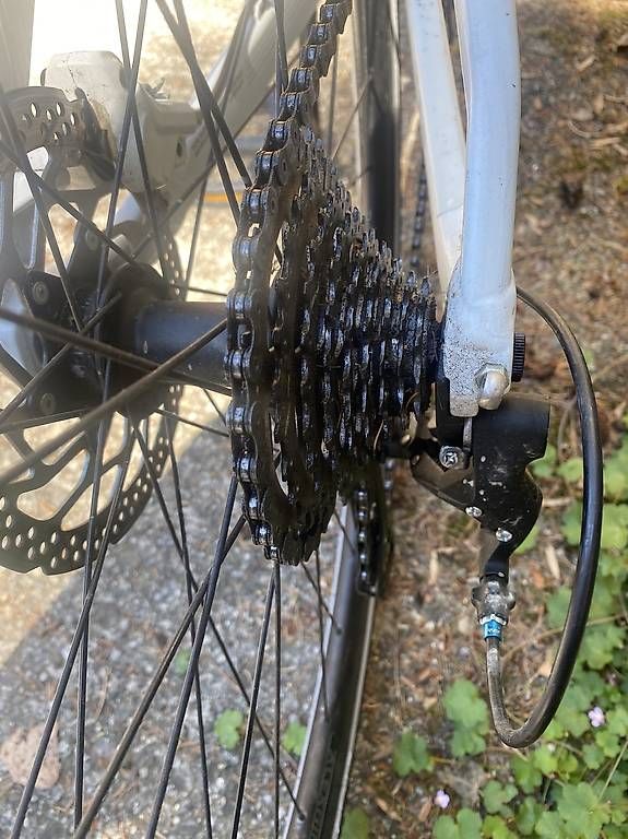 Biciclette: Bmc Alpenchallenge Taille S – Usato da La Tour de Peilz venduto da Propperdoc 4