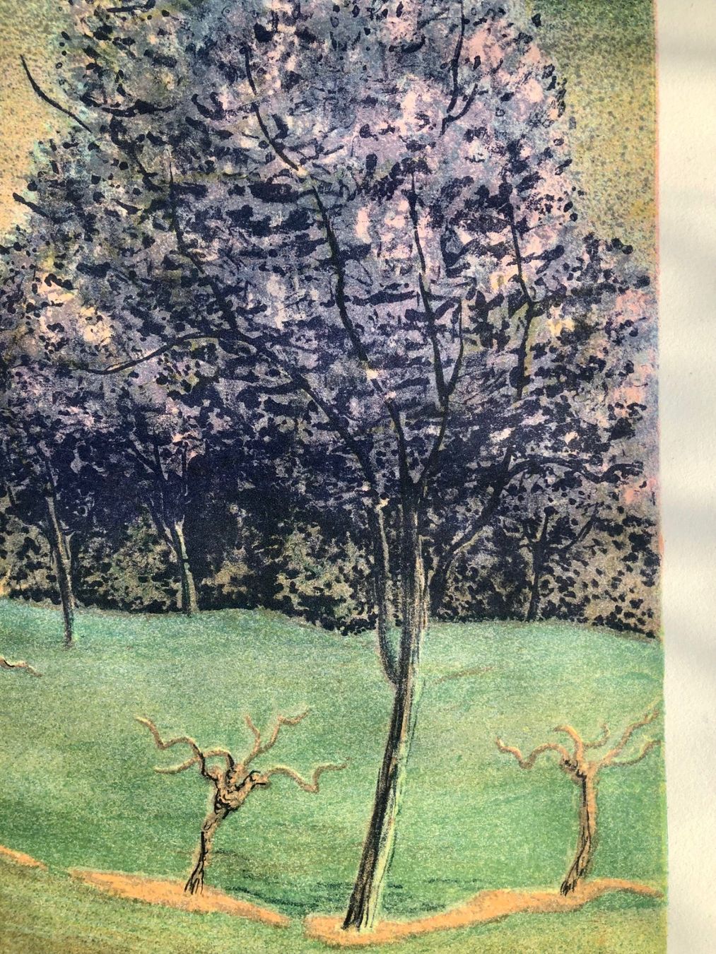 Grafica & Litografie: Lithographie von Hansjörg Flückiger 1983 – Usato da Winterthur venduto da Barunggeli 5