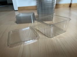 Heimchendosen/Insektendose neu, 10 Stk