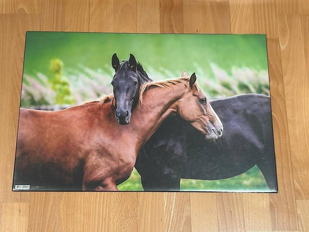 Kits de loisir créatif: Schreibunterlage – D'occasion à Waldkirch par Anonymer_Nutzer