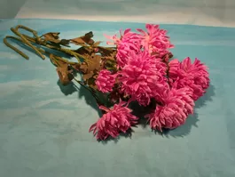 3 Stiele mit lila Chrysanthemen