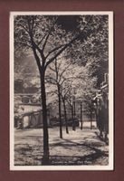 LAUSANNE en hiver - Petit Chêne - 1929