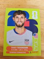 Panini FIFA World Cup USA 9
