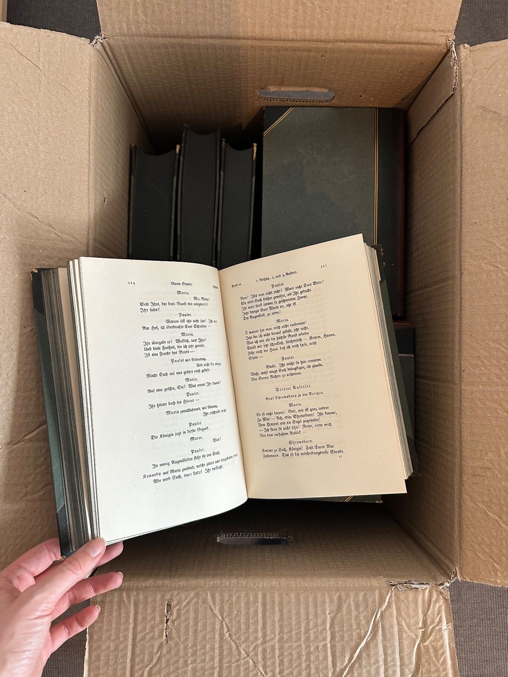 Libri: Gesamte Werke Schiller, Horenausgabe – Usato da St. Gallen venduto da joe_v6z5 2