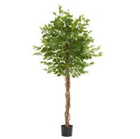 Künstlicher Ficusbaum Fida 180 cm