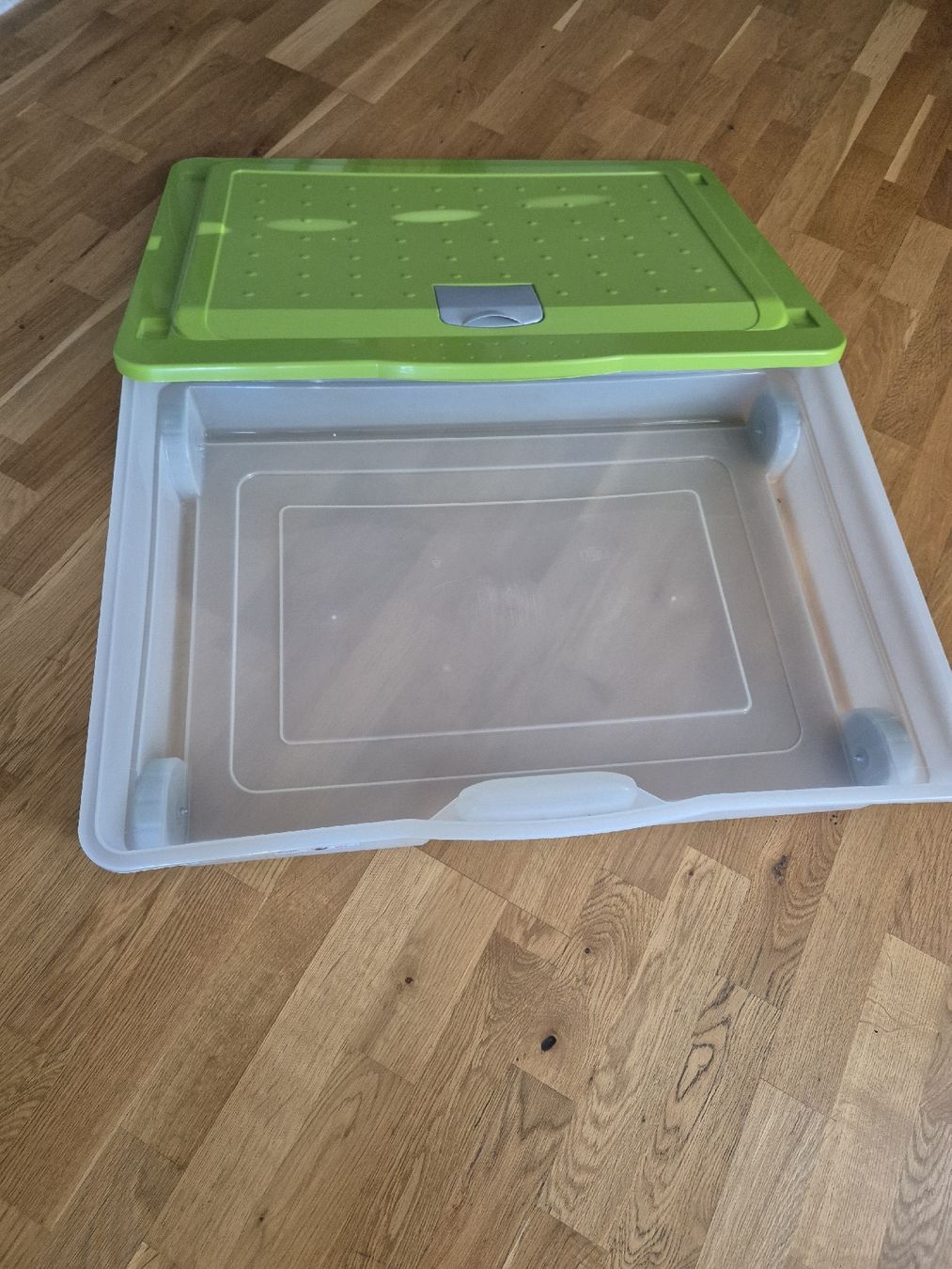 Rotho Contenitori & Simili: Box mit Rollen – Nuovo (secondo la descrizione) da Altishofen venduto da Simba220 1