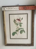 Rosenbild .Vintage Druck im Rahmen . Evt. per Post