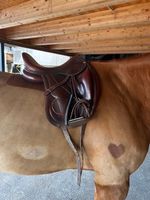 Antarès Cadence Dressursattel – 17,5 L – handmade in France