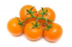 Piante & sementi: 20 Samen Tomate FIGIEL Orange – Nuovo (secondo la descrizione) da Ehrendingen venduto da VerveinaSamen 4
