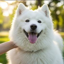 Profile image of kar_zw5n