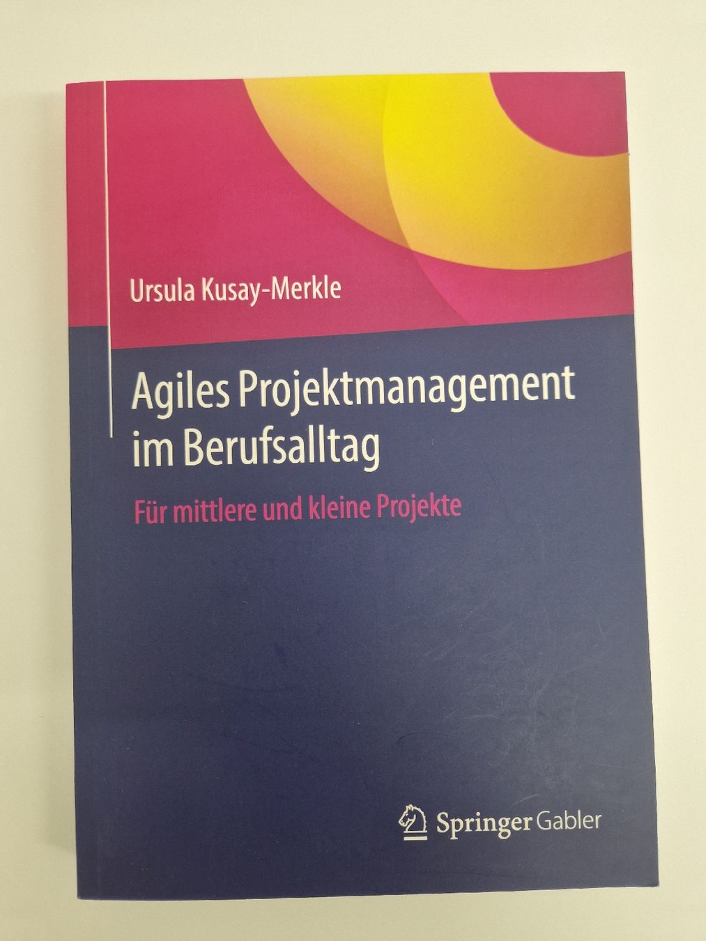 Libri: Projektmanagement, Requirements Engineering – Usato da Chur venduto da raguta 3