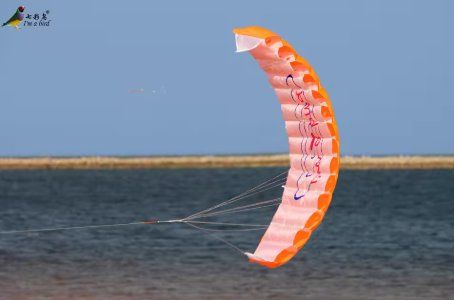 Aquilone: Drachen / Kite - Trickkite Lenkdrachen, Grösse 1.4 Meter, – Nuovo e nell'imballaggio originale da Niederwil SG venduto da kaseopeia 1