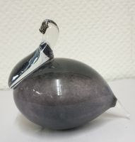 Vogel Glasvogel Merilasi Finland