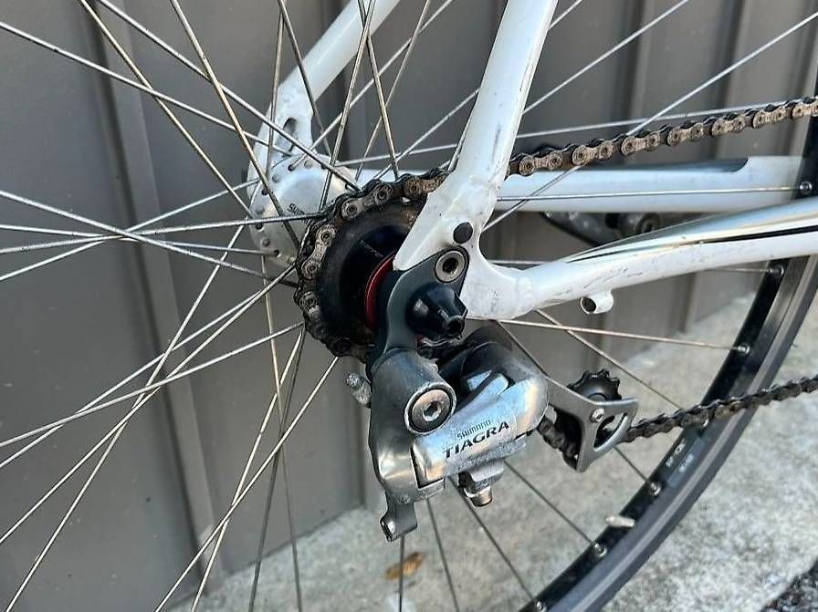 Specialized Biciclette: Specialized Secteur Sport Singlespeed! – Usato da Thun venduto da soeep 4