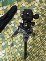 Benro C-298 tripod with B1 ball head