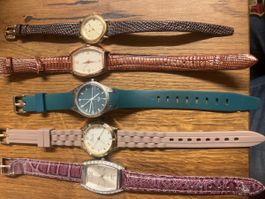 5 schöne Damenuhren in vielen Farben