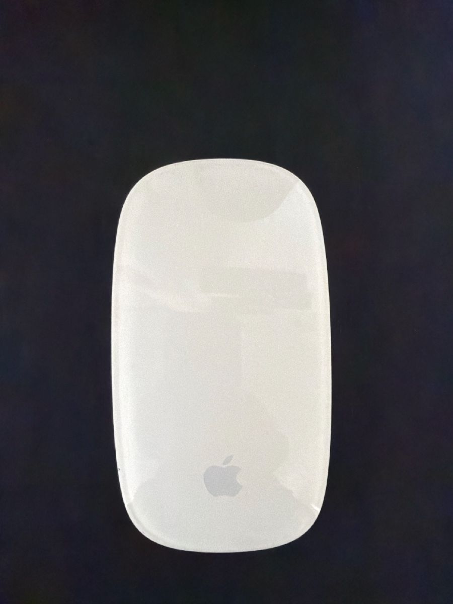 Apple Mouse: Apple Magic Mouse 1 – Usato da Therwil venduto da Migu84