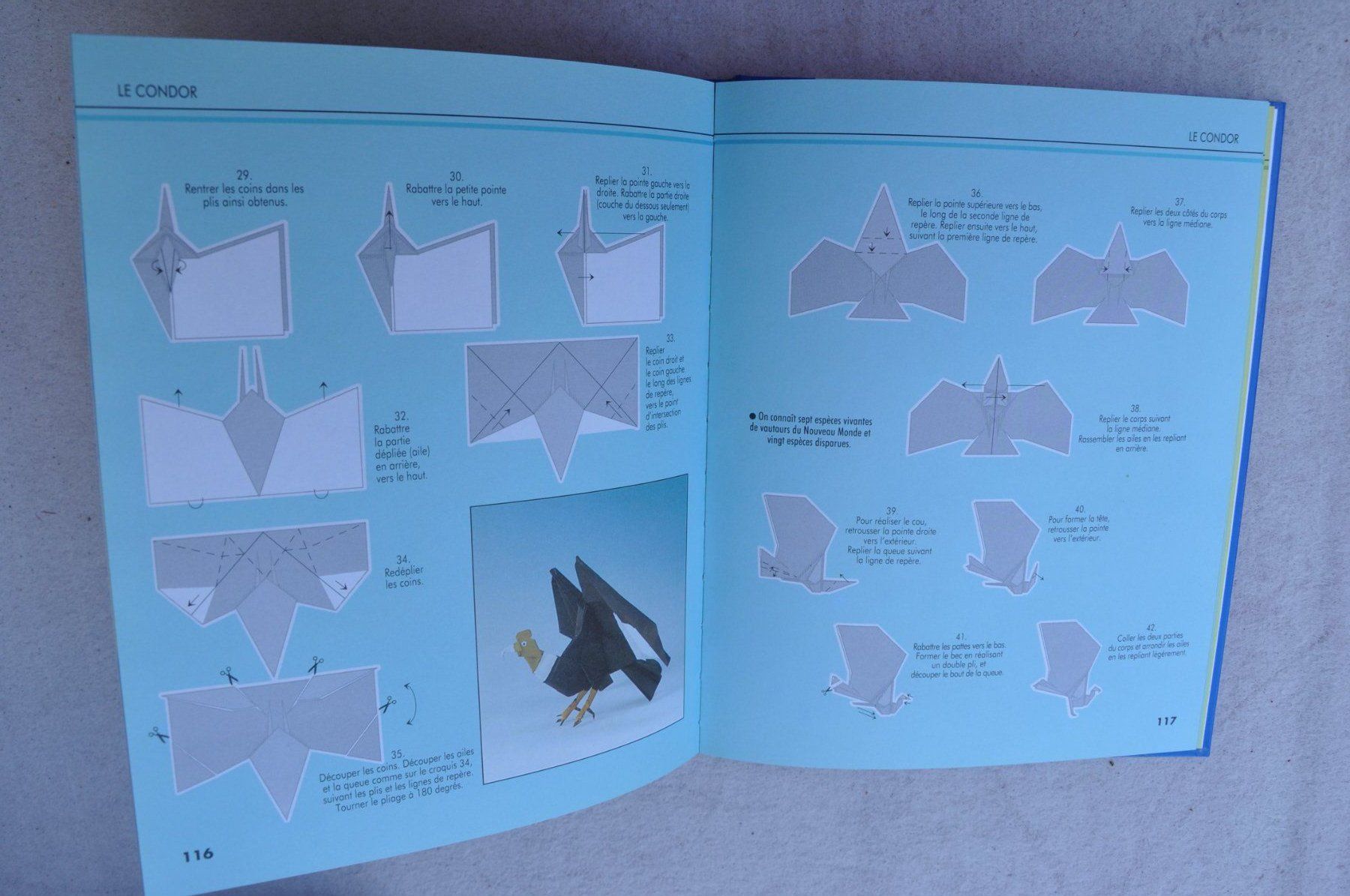 Bücher: Origami - le monde des animaux - Fleurus – Gebraucht aus Fully von Minouchka 3