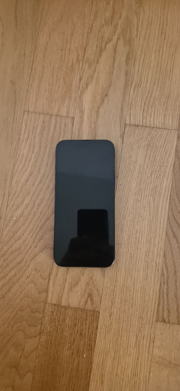 Apple Portables: Iphone 16 Pro Max – D'occasion à Root par Audi_21 9