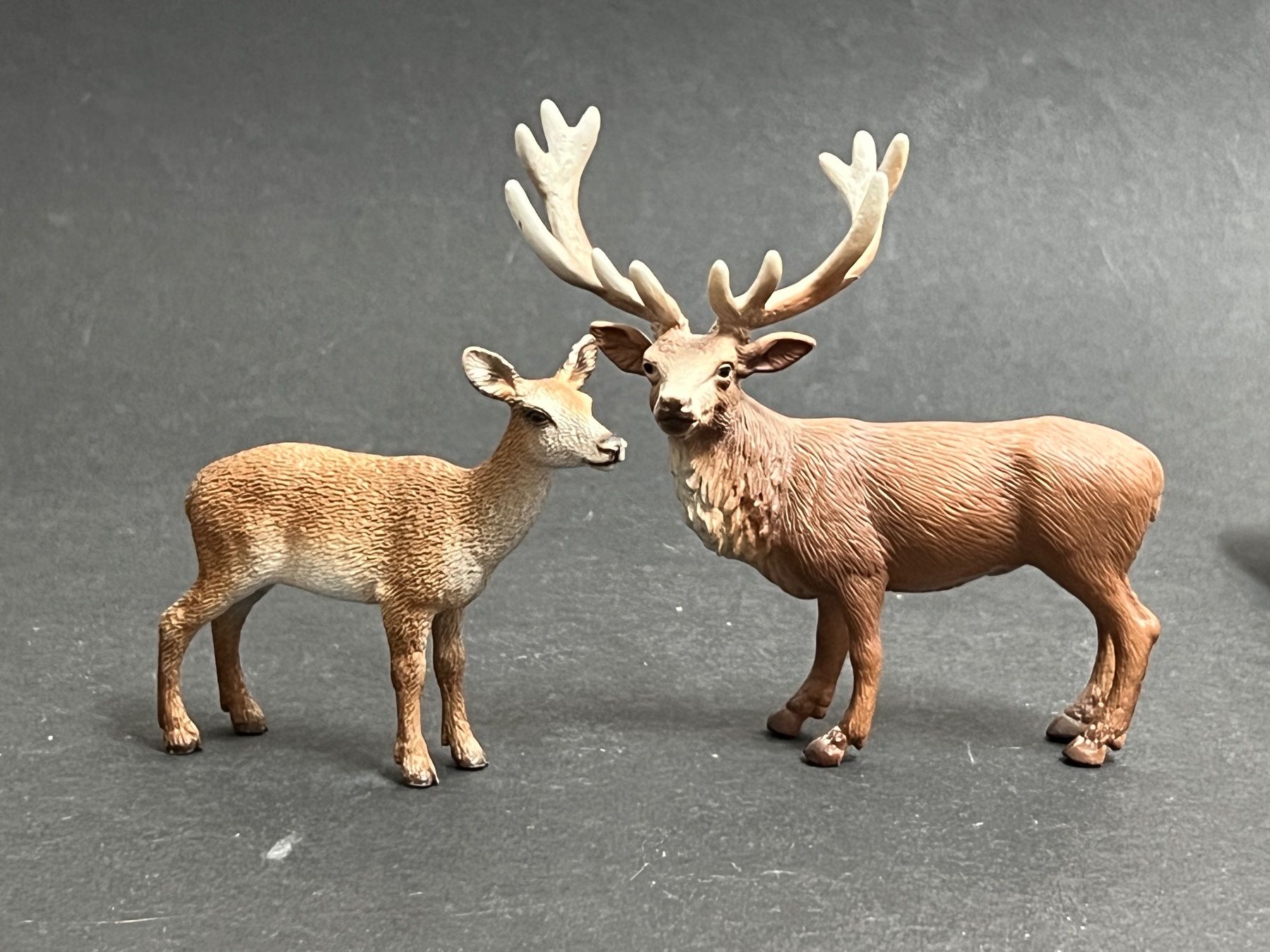 Schleich Statuette: Schleich Rothirsch Hirsch Kuh – Usato da Ennetbaden venduto da mapa05