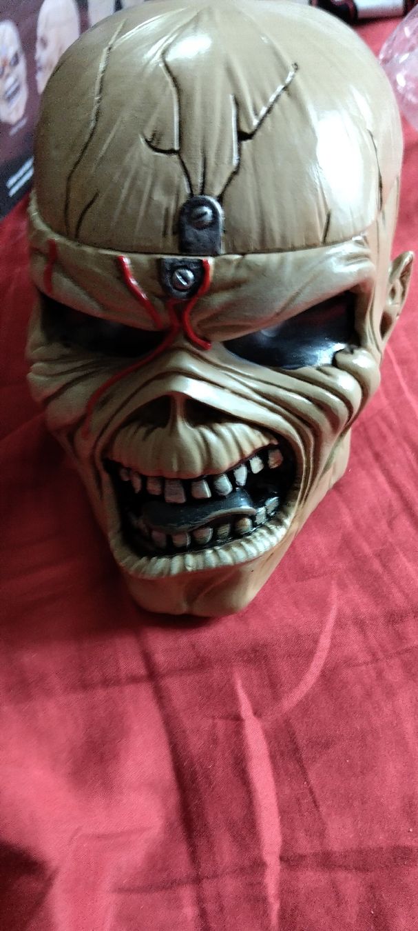 Figurines: Iron Maiden Trooper Head in polyresin Hand painted – Neuf avec emballage d'origine à Courrendlin par clansman1988 2