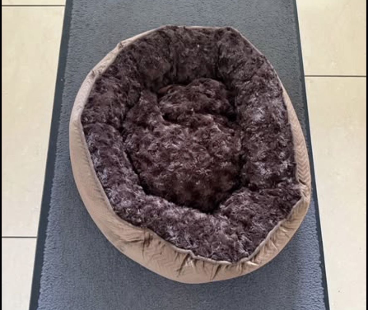 Cucce & Letti: Katzenbett Hundebett neu – Nuovo (secondo la descrizione) da Gerlafingen venduto da sternrose
