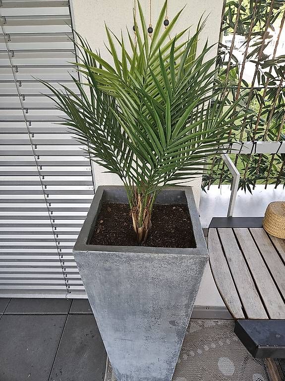 Pots de fleurs: Grosser Topf Betonoptik – D'occasion à Benken SG par Bernet92 4