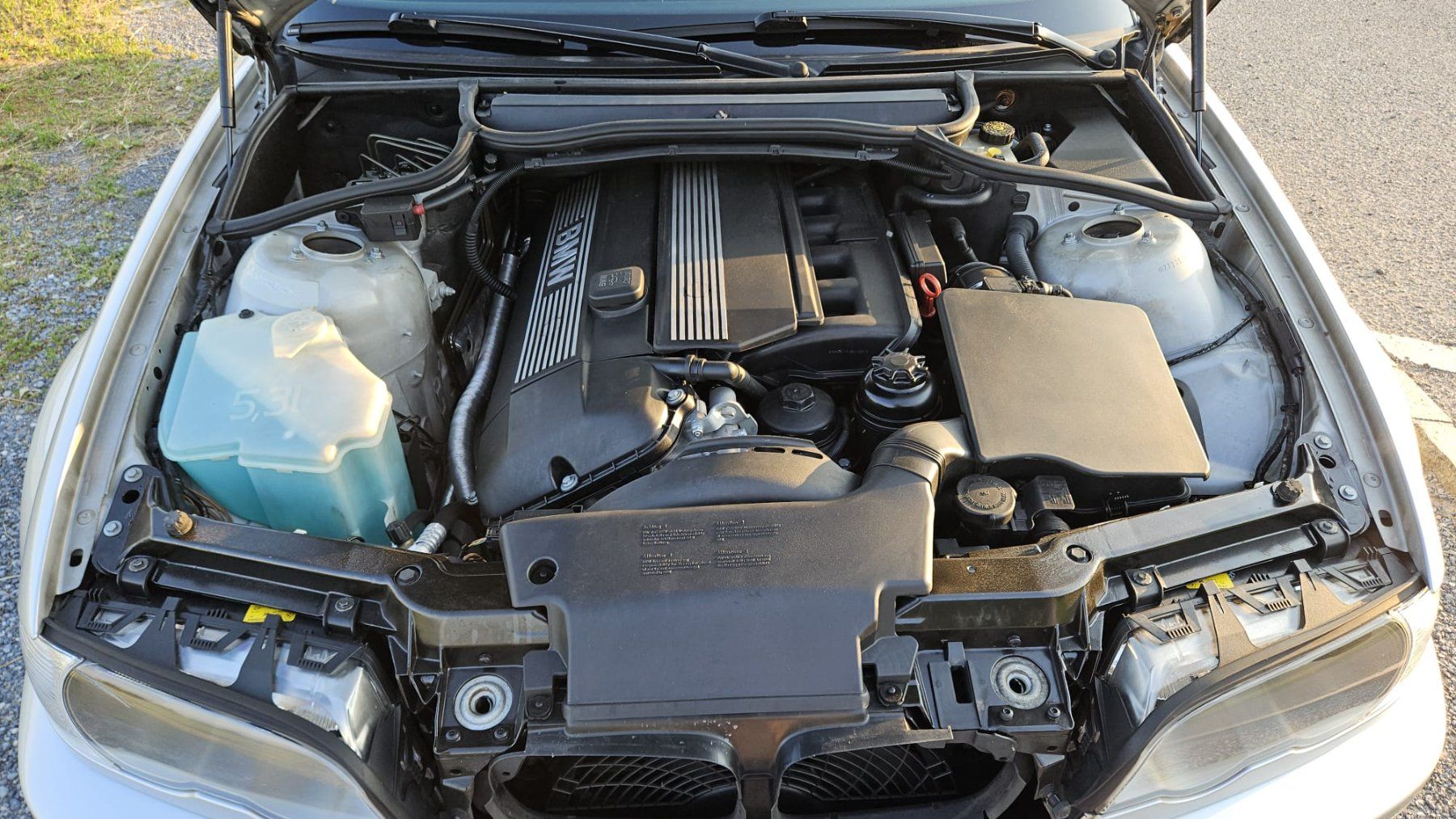 BMW Automobili: BMW 330Ci (E46) - ab MFK & Service – Usato da Meilen venduto da vivi-line 8