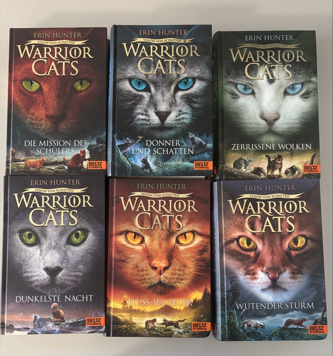 Libri: Warrior Cats Staffel 6 komplett – Usato da Hunzenschwil venduto da ede_h8tt