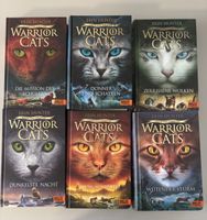 Warrior Cats Staffel 6 komplett