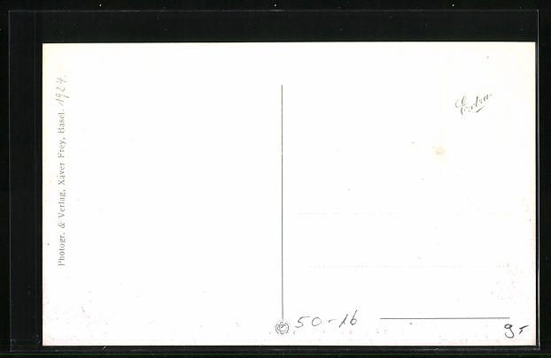 Cartoline postali: AK Basel, Zoologischer Garten, Tiger – Usato da Berlin venduto da bartko-reher 1