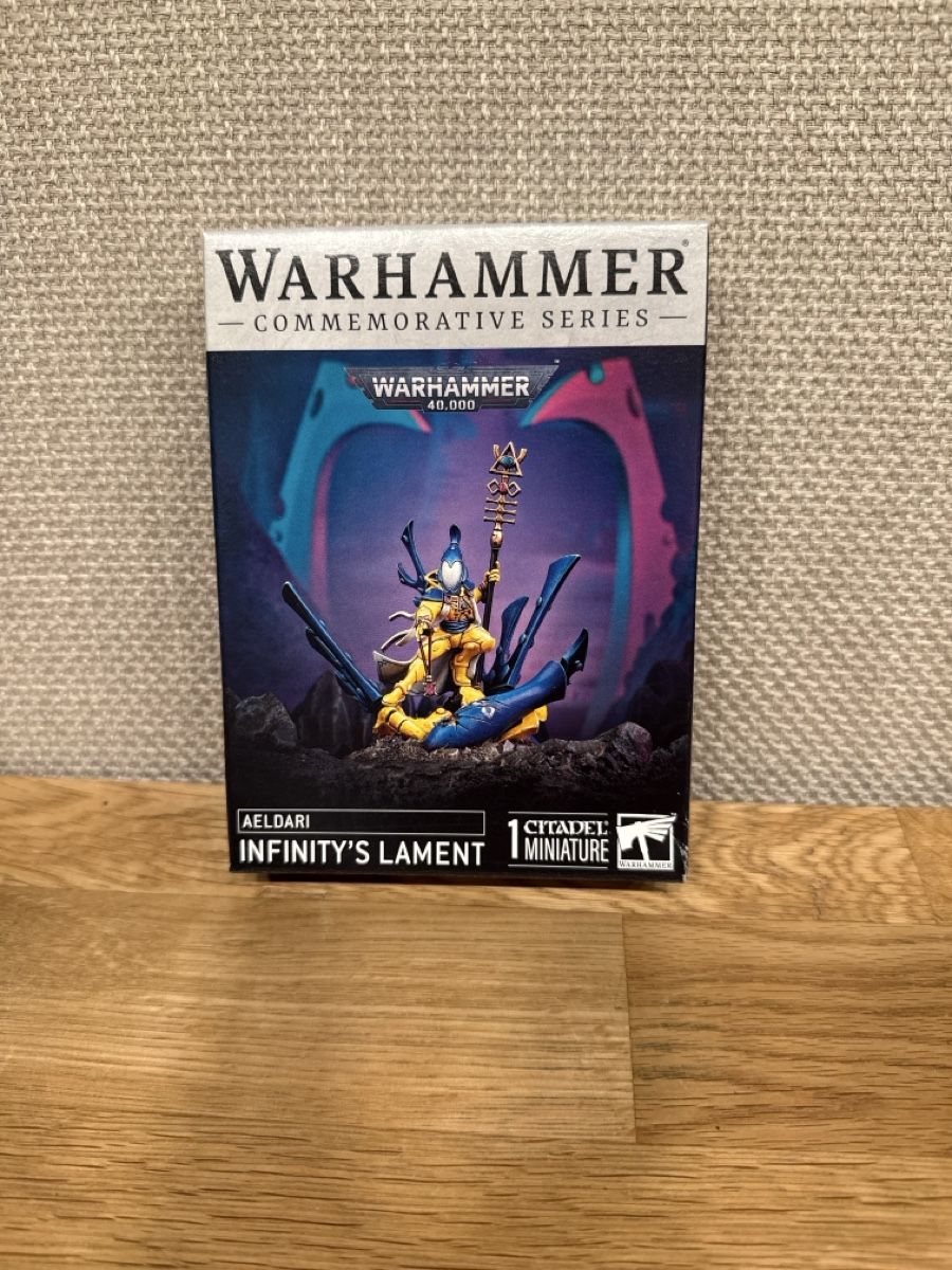 Modellbausätze & Standmodelle: Warhammer, Aeldari: Infinity’s Lament - NEU – Neu und originalverpackt aus Himmelried von Truzzas