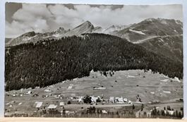GR, 8-313, Wiesen gegen Wieseneralp und Tiaun
