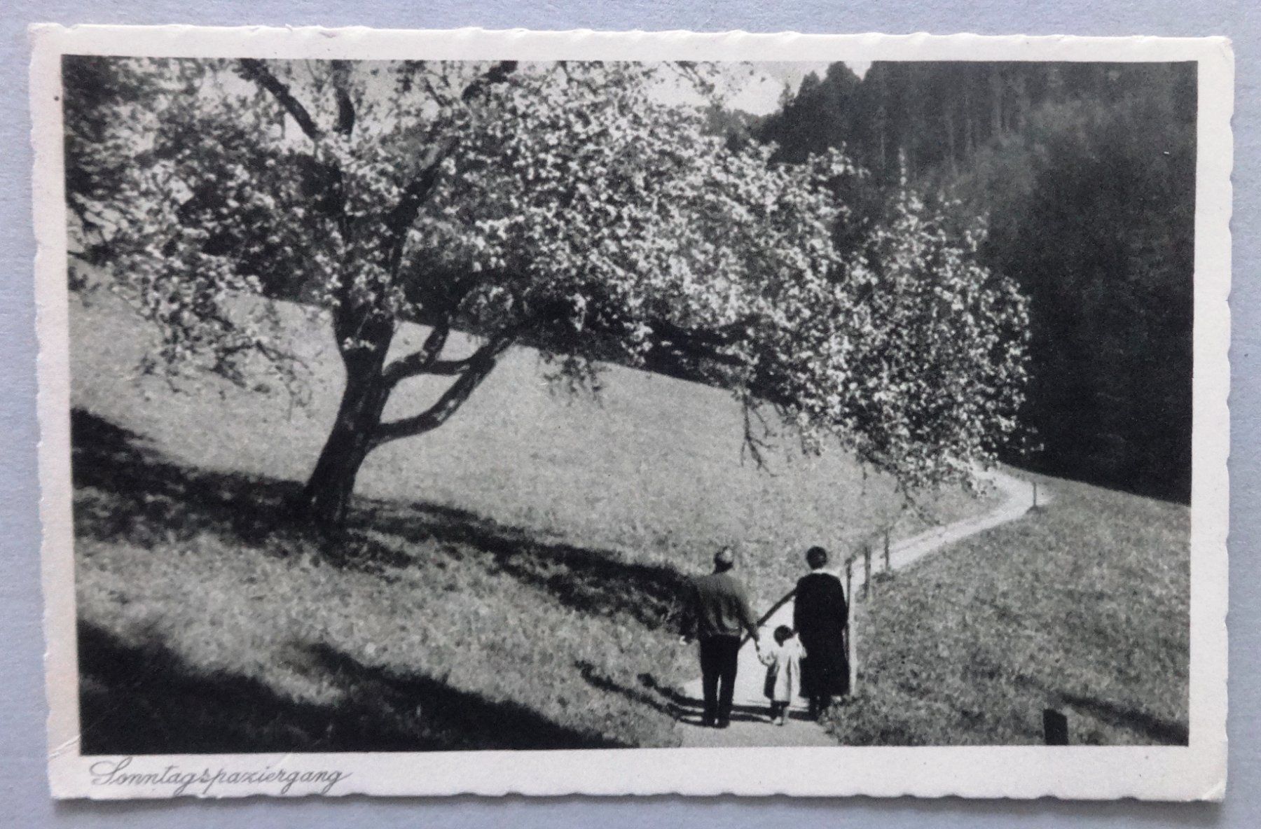 Cartes postales: Sonntagspaziergang – D'occasion à Fétigny par Billy2miny