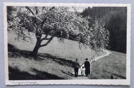 Sonntagspaziergang
