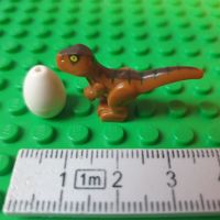 Dinosaurier Baby (braun) und Ei