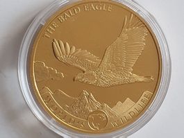 Goldmünze The Bald Eagle