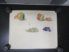 H. Egger Obst Aquarelle II signiert mit Trockenstempel