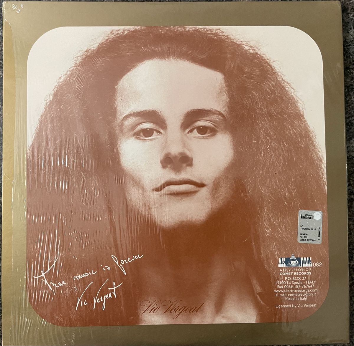 Dischi in vinile: TOAD - Tomorrow Blue - AKARMA Vinyl LP – Usato da Olten venduto da Bluespapst 3