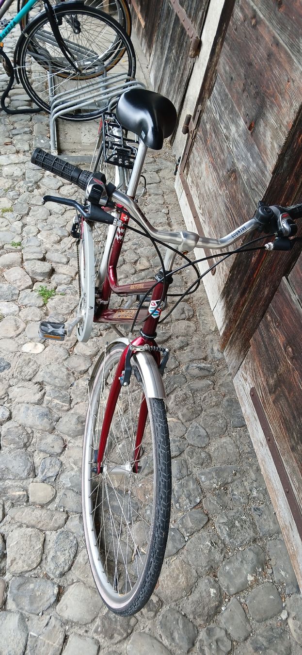Cilo Velos: Cilo city velo RUBI – Gebraucht aus Adliswil von trujillo01 9