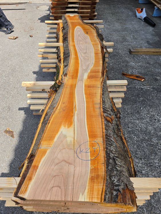 Articoli in legno: Kirschbaumbrett Nr. K24 – Nuovo (secondo la descrizione) da Lützelflüh-Goldb venduto da ch.waelchli-holz.ch 1