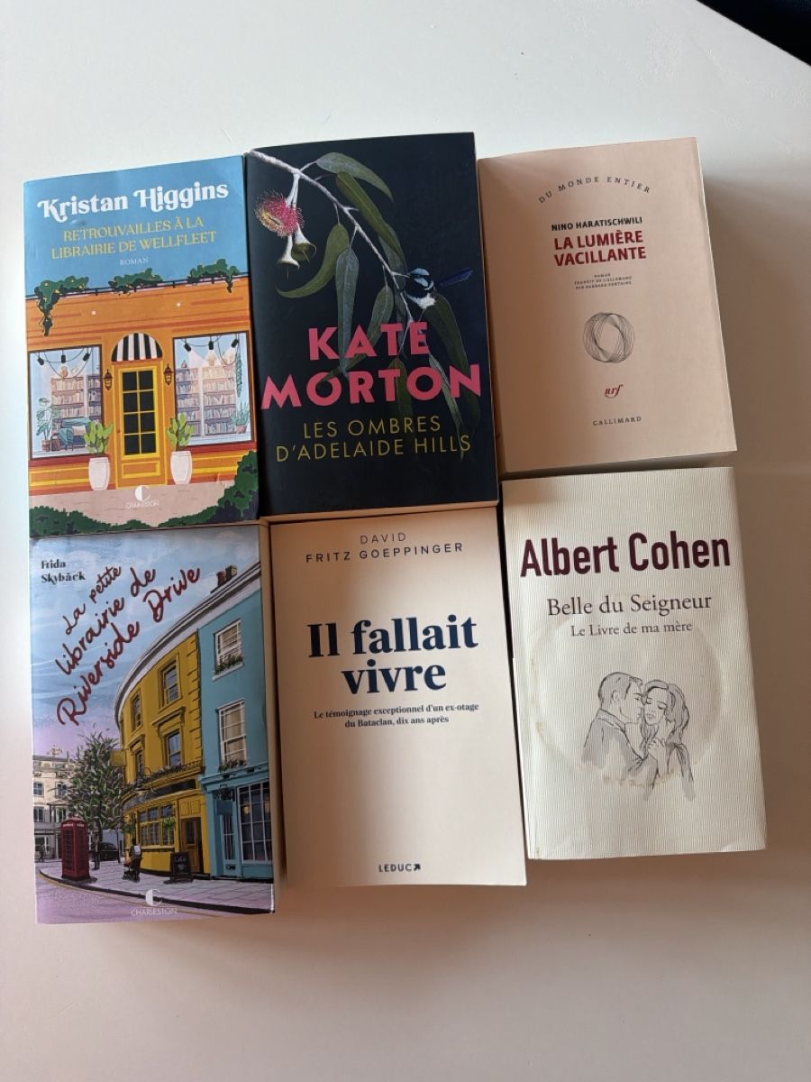 Libri: Lot 6 livres  – Usato da Vernayaz venduto da cla_cj7n